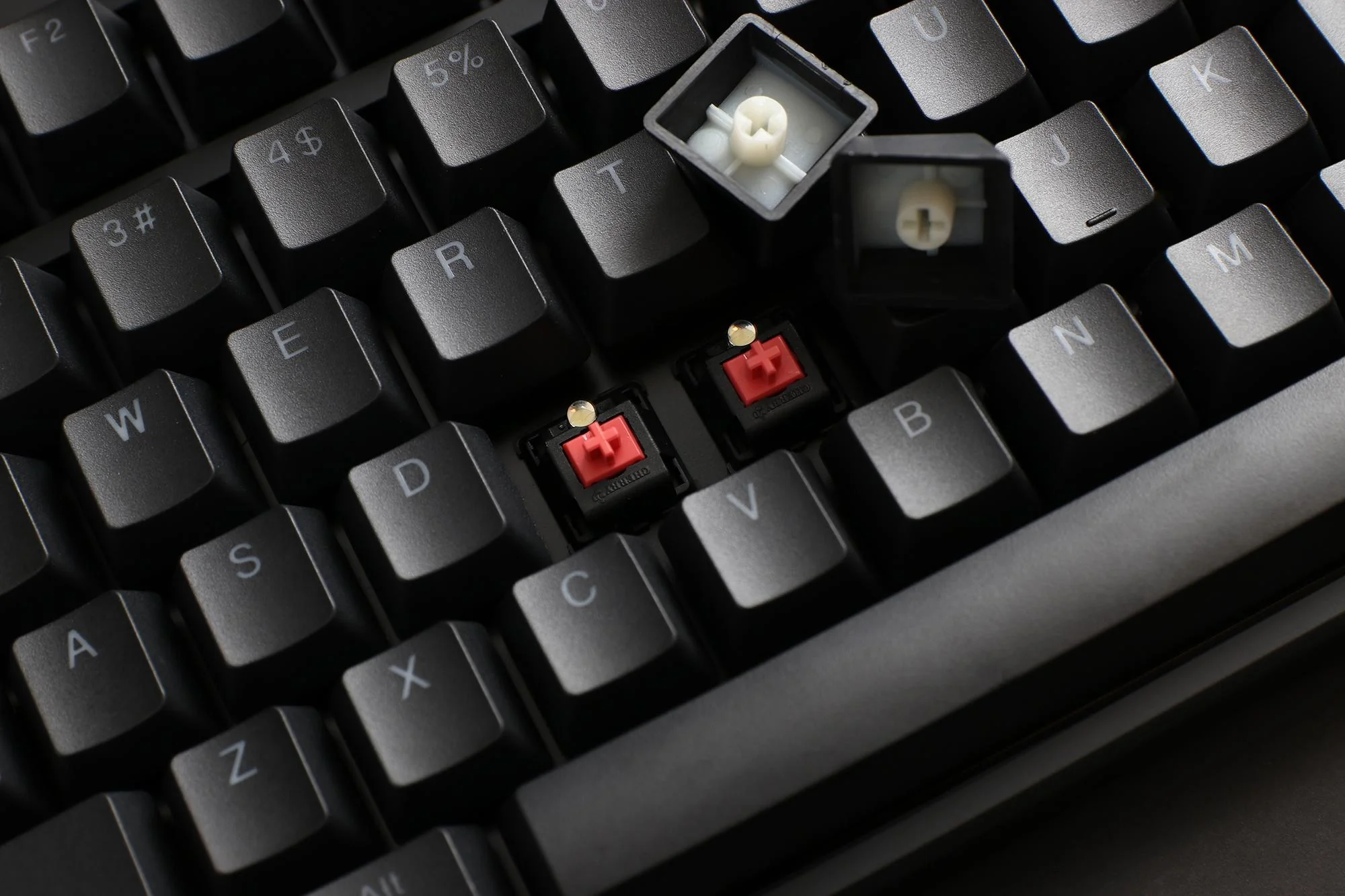 MK Night Typist Warm White LED Double Shot PBT Mechanical Keyboard - Image 10